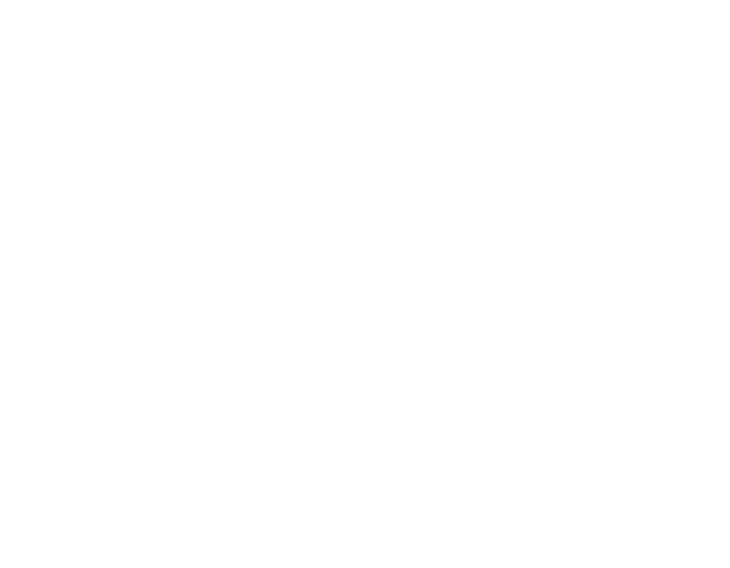 LOGO INPA BLANCO